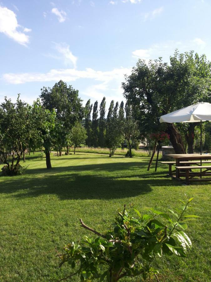 B&B Santa Fosca Pederobba Екстериор снимка